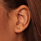 Soravelle | 18K Kuld Ümmargused Kõrvarõngad